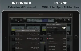 Quantiloop screenshot 1