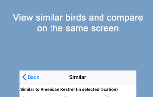 Sibley Birds 2nd Edition screenshot 2