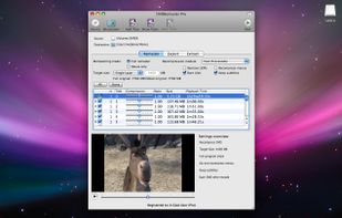 DVDRemaster screenshot 1