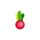 Funky Radish Icon