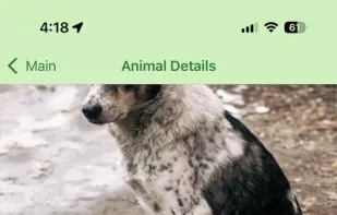 StraySync screenshot 3