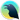 Raven Reader icon