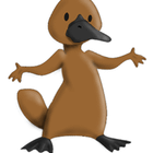 Cnverg icon