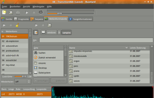 The Buzztrax Waveform Viewer