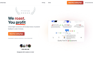 Roast my landing page