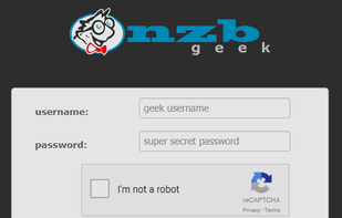 NZBgeek screenshot 1