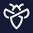 Intigriti icon