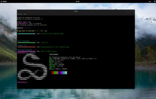 Serpent OS screenshot 1