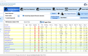 Niche Expired Domain List