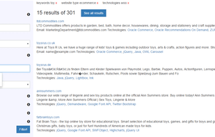 TheWebMiner screenshot 1