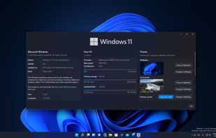 Modern Winver screenshot 3