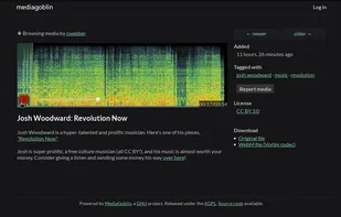 View of an audio file