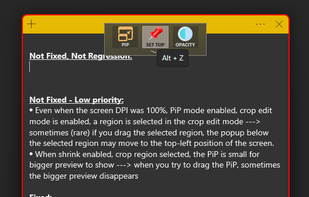 WindowTop screenshot 2