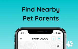 Monkoodog screenshot 3