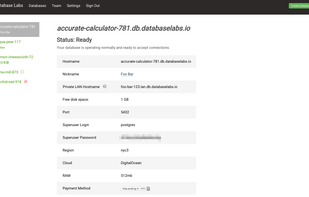 Database Labs screenshot 1
