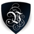 Le VPN icon