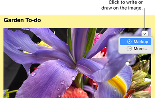 Mac Stickies screenshot 1