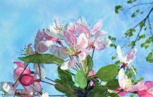 Artomaton screenshot 3