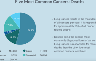 RiskAverse screenshot 2