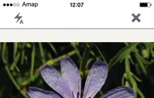 Pl@ntNet screenshot 2