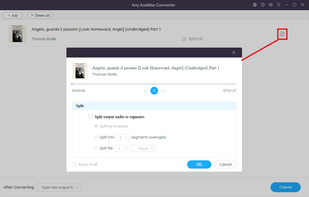 Any Audible Converter screenshot 1