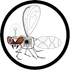 Hoverfly icon