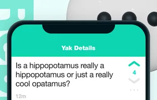 Yik Yak screenshot 2