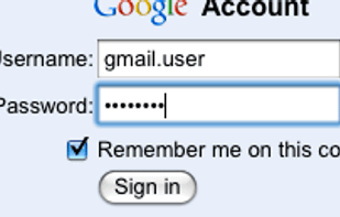 Step 1 Type your master password.