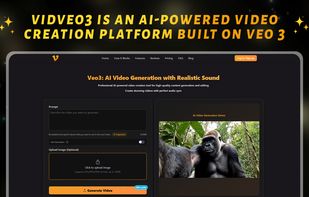 VidVeo3 screenshot 1