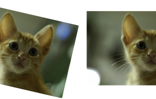 Tilt correction sample