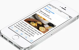 TinyLetter screenshot 2