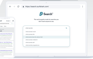 Surfshark Search screenshot 1