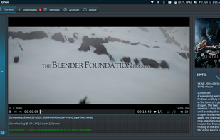 Orion Streaming torrent while downloading.