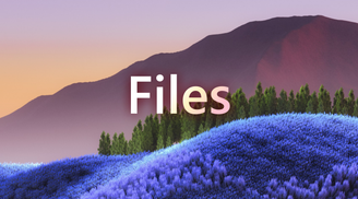 Files 3.7.11 update brings bulk file renaming, improved dialogs, and several bug fixes image