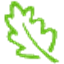 Leaf Networks icon