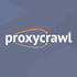 BackConnect Proxy icon