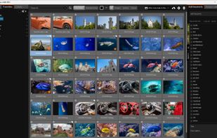 PixVis Organizer screenshot 1