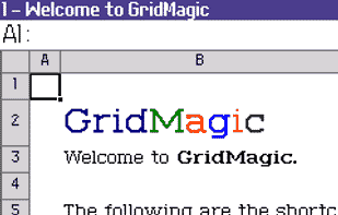 GridMagic (MiniExcel) screenshot 1
