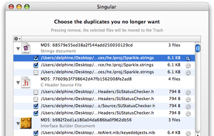 Singular screenshot 1