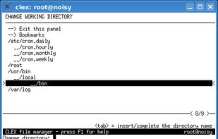 CLEX screenshot 2