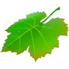 Breeze icon