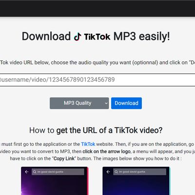 No.1 TikTok to MP3 Converter- Download TikTok MP3 Audio