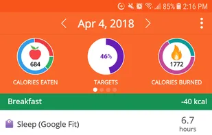 Cronometer screenshot 1