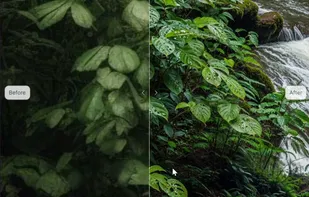 Magnific AI screenshot 1