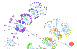 CodeFlower screenshot 1