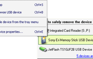 the program main window