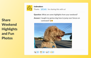 Icebreakers by LarkApps screenshot 2