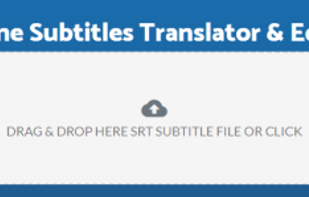 Translate Subtitles screenshot 1
