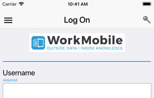 WorkMobile screenshot 2