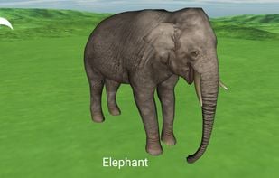 Animals for Kids 3D screenshot 1